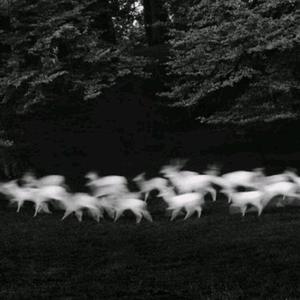 疯狂人妖玩人妖高潮
